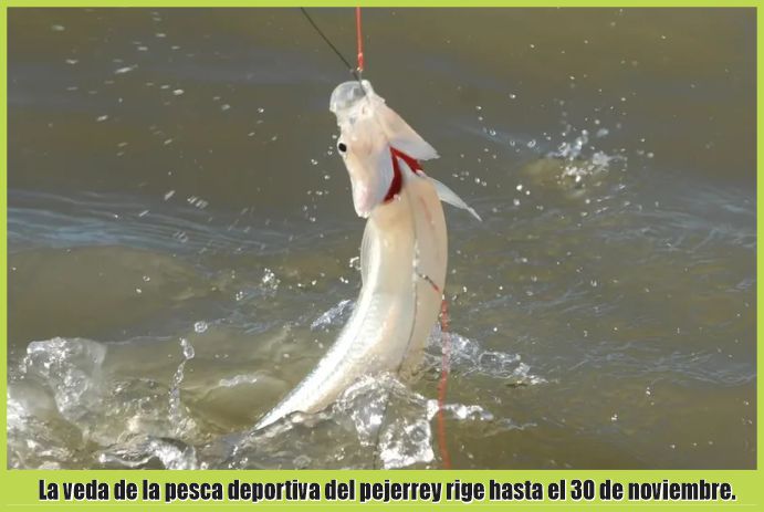 EPejerrey, Provincia de Buenos Aires, Ministerio de Desarrollo Agrario, Laguna Chasicó, Lagunas Cochicó, La Salada Grande